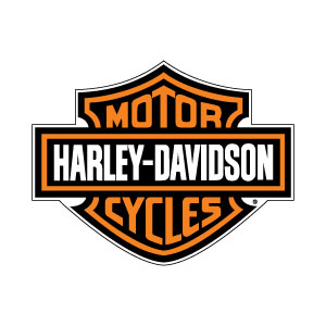 harley davidson 300 bw